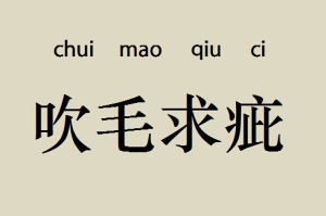 吹毛求疵