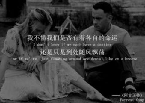 阿甘正传经典台词