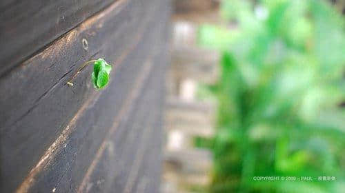 ʺϷ˵˵ľ