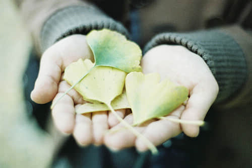 ֮