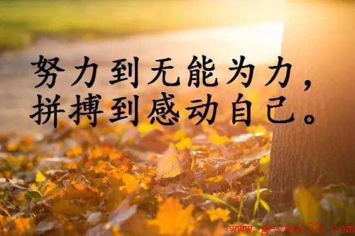 2017<a href=https://www.geyan123.cn/ target=_blank class=infotextkey></a>ȫղ88