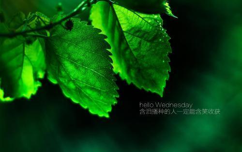 <a href=https://www.geyan123.cn/ target=_blank class=infotextkey>־</a>С¼3